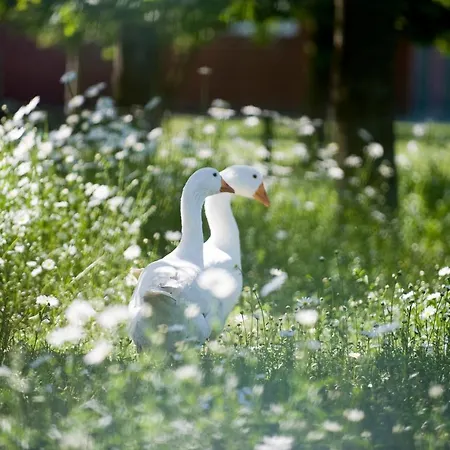 Natures-rest 
