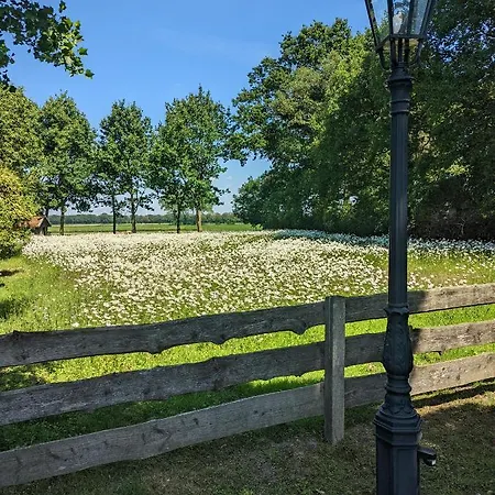 Natures-rest Mendhoo