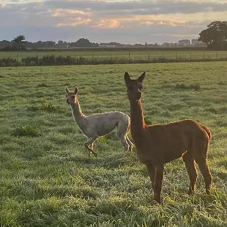 Natures-rest Mendhoo * Wielen