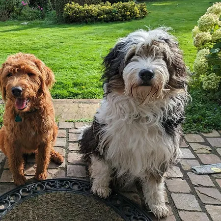 Natures-rest Mendhoo *