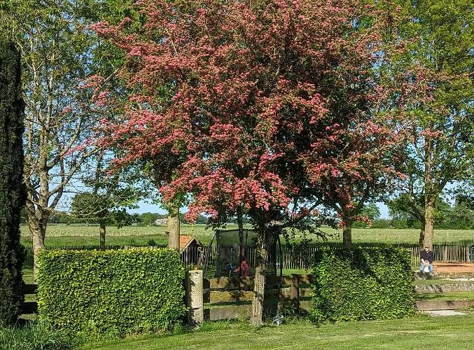 Apartamento Natures-rest 